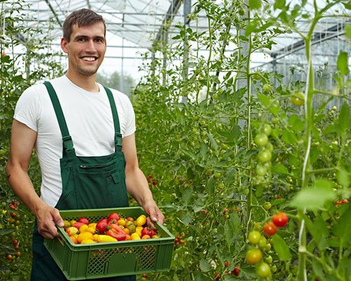 Nguyễn Ngọc Tốt