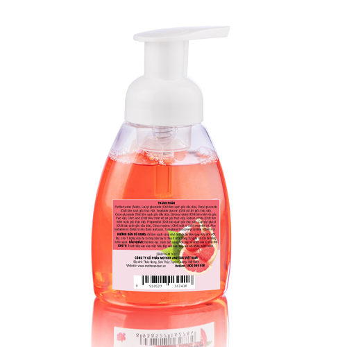 RỬA TAY BỌT *LỰU ĐỎ RỬA TAY BỌT *LỰU ĐỎ